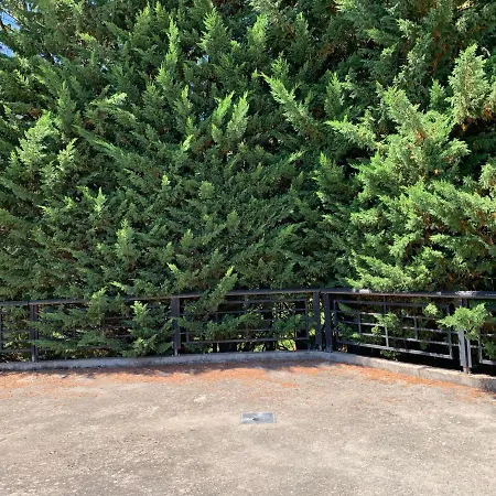 Rokia - Au Fil De L*eau Royat